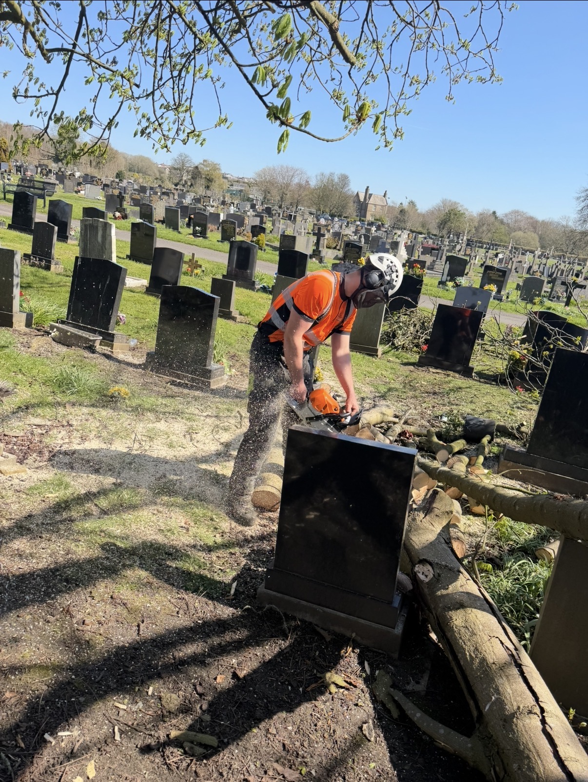 Emergency tree work
