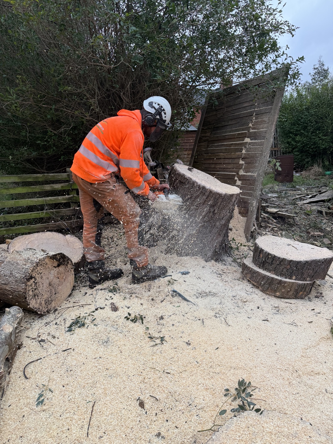 Tree surgery